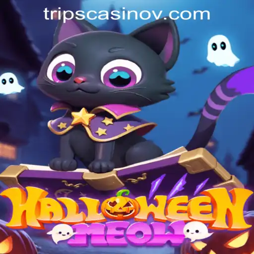 HalloweenMeow: A Spooky Adventure with P7 Bet