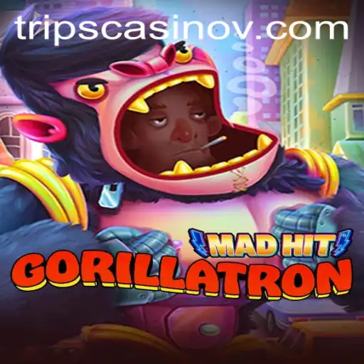 Discover 