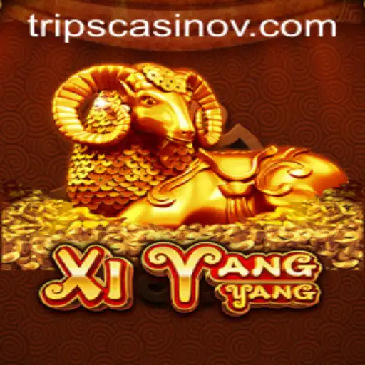 An In-Depth Look at XiYangYang and P7 Bet